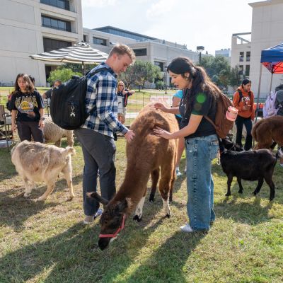 Two students petting a donkey while more students and goats roam in the background